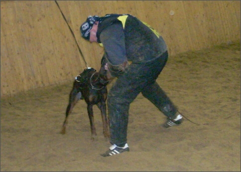 Training in Finland 12/2007